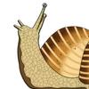 1 Pair Wooden Snail Door Topper Vintage Snail Shape Door Corner
