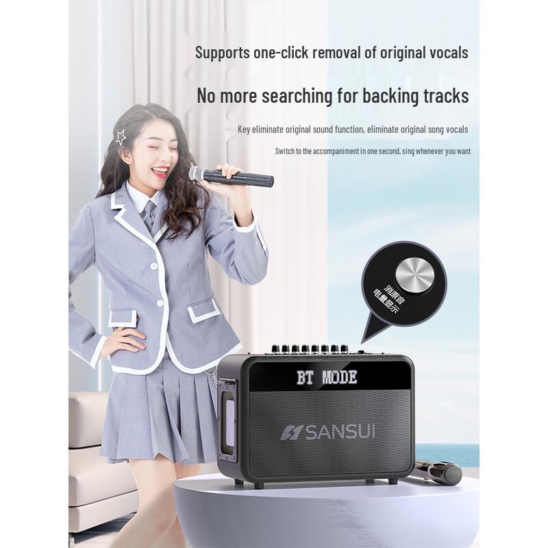 SANSUI G13 High-Power Portable Bluetooth Karaoke Machine with Dual Mics