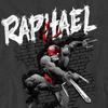 Teenage Mutant Ninja Turtles Unisex Adult Raphael T-Shirt