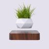 Rotatable Levitating Plant Levitating Plant Pot with Desktop Ornament Plantable Floating Plant Pot