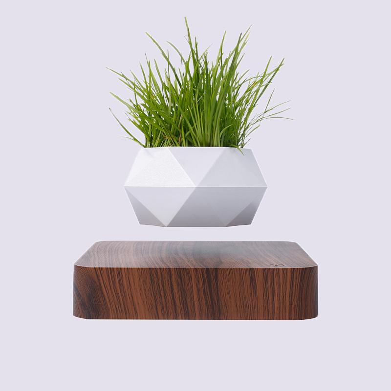 Rotatable Levitating Plant Levitating Plant Pot with Desktop Ornament Plantable Floating Plant Pot