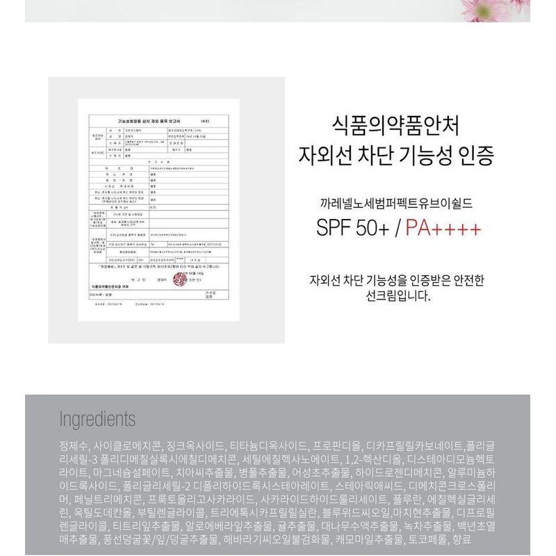 CARE:NEL - No Sebum Perfect UV Shield SPF 50+ PA++++ 50ml