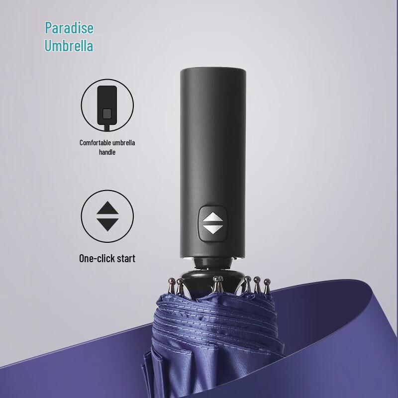 Paradise Fully Automatic Extra-Large 12-Rib Windproof Umbrella