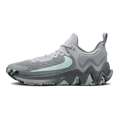 Giannis Immortality 2 Cool Grey Glacier Blue Pánské tenisky Vlčí šedá Bílá DM0825-004