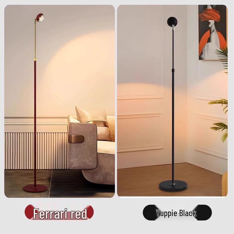 Oeny Retractable LED Floor Lamp