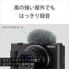 Sony W Compact Digital VLOGCAM Vlog Shooting Grip Kit Black Pack Windscreen Zoom White ZV-1G Camera, Camera, (Includes GP-VPT2BT Grip, + 1), Included,