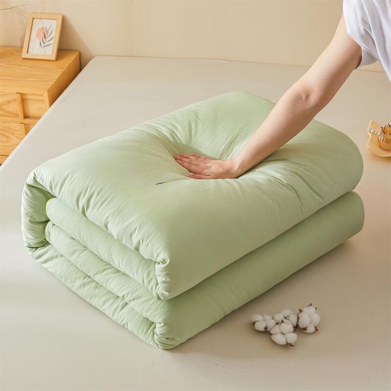 LISM Thickened Warm 100% Cotton Quilt