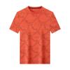 Summer Ice Short Sleeve Men's Fashion Loose Fit Versatile Casual T-Shirt Trendy Top