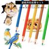 Roleness Colored Pencils for Kids and Coloring Book Set for Beginners and Soft Core Storage and Pencil Sharpener 120-Color Oil-Based Adults,