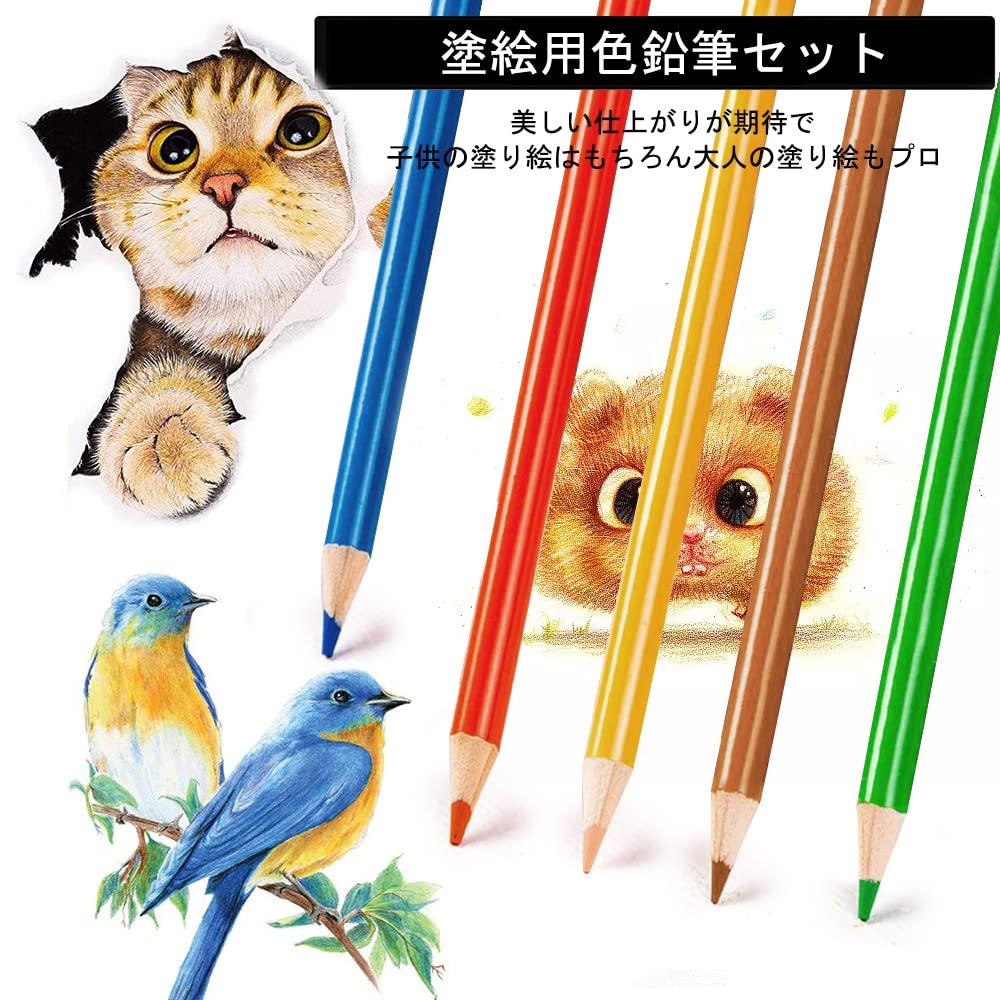 Roleness Colored Pencils for Kids and Coloring Book Set for Beginners and Soft Core Storage and Pencil Sharpener 120-Color Oil-Based Adults,
