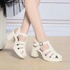 Retro High Heels Without Fatigue Thick Heels Thick Soles Versatile One-Button Buckle Roman Shoes Simple Comfortable New Summer