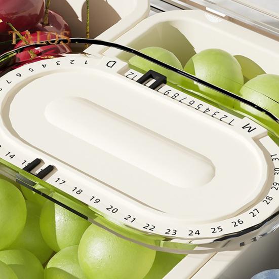 Snackle Box Container Bento Box Dishwasher Safe Divided Snack Tray with Lid And Handle Freshness Preservation Organizer for Fruits Snacks