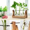 Plant Glass Container with Wooden Stand, 3 Glass Bulb Planters, Plant Nurturing Station, Gifts for Plant Lovers, Home Decor Vase