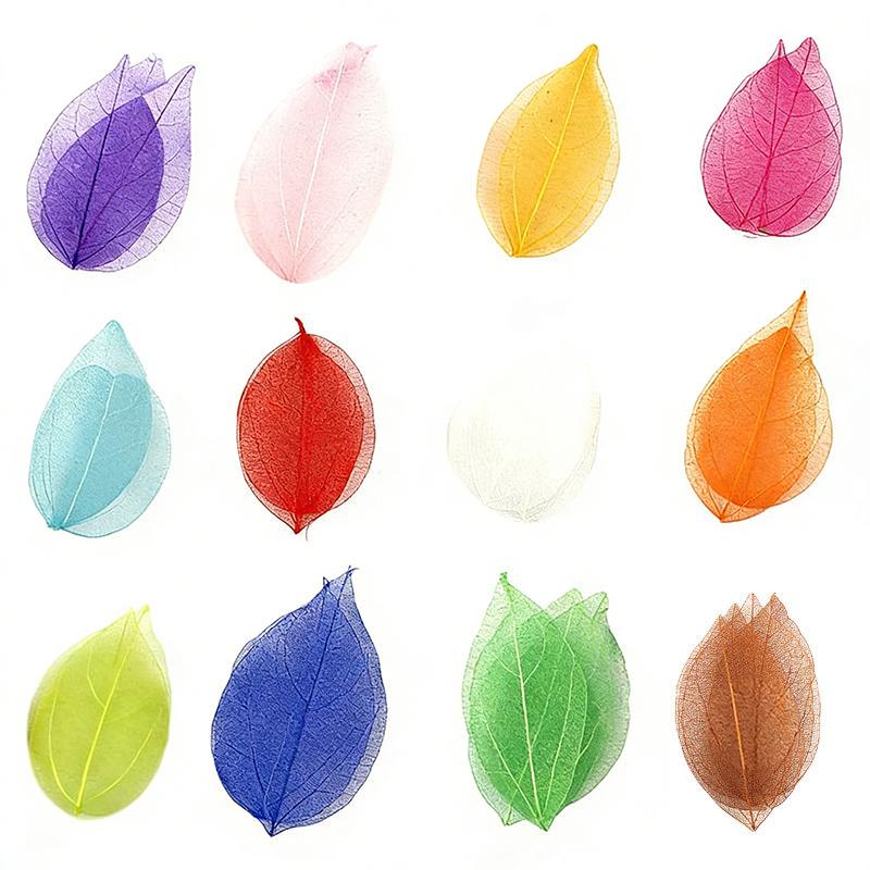 Dried Flowers Natural Skeleton Leaf Vein DIY Handmade Materials Nail Art Flowers Material for Wedding Party Home Decor-20/24pcs