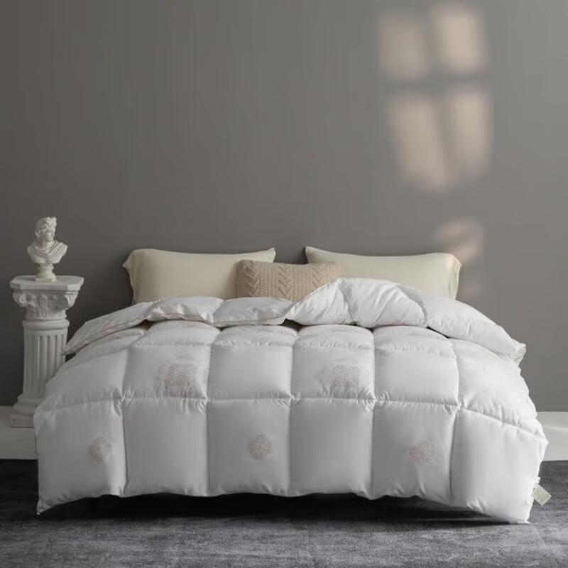 

HODO Royal Space Soy Fiber Winter Quilt