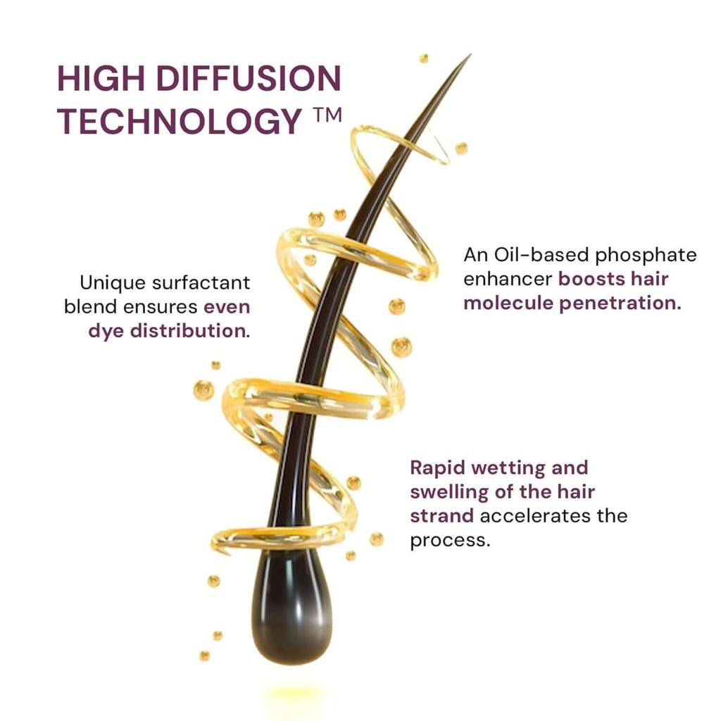 Raaga Professional Pro 10 Hair Color Natural Brown 90g Pack of 1 Fast Hair Dye for Smooth Shiny Hair