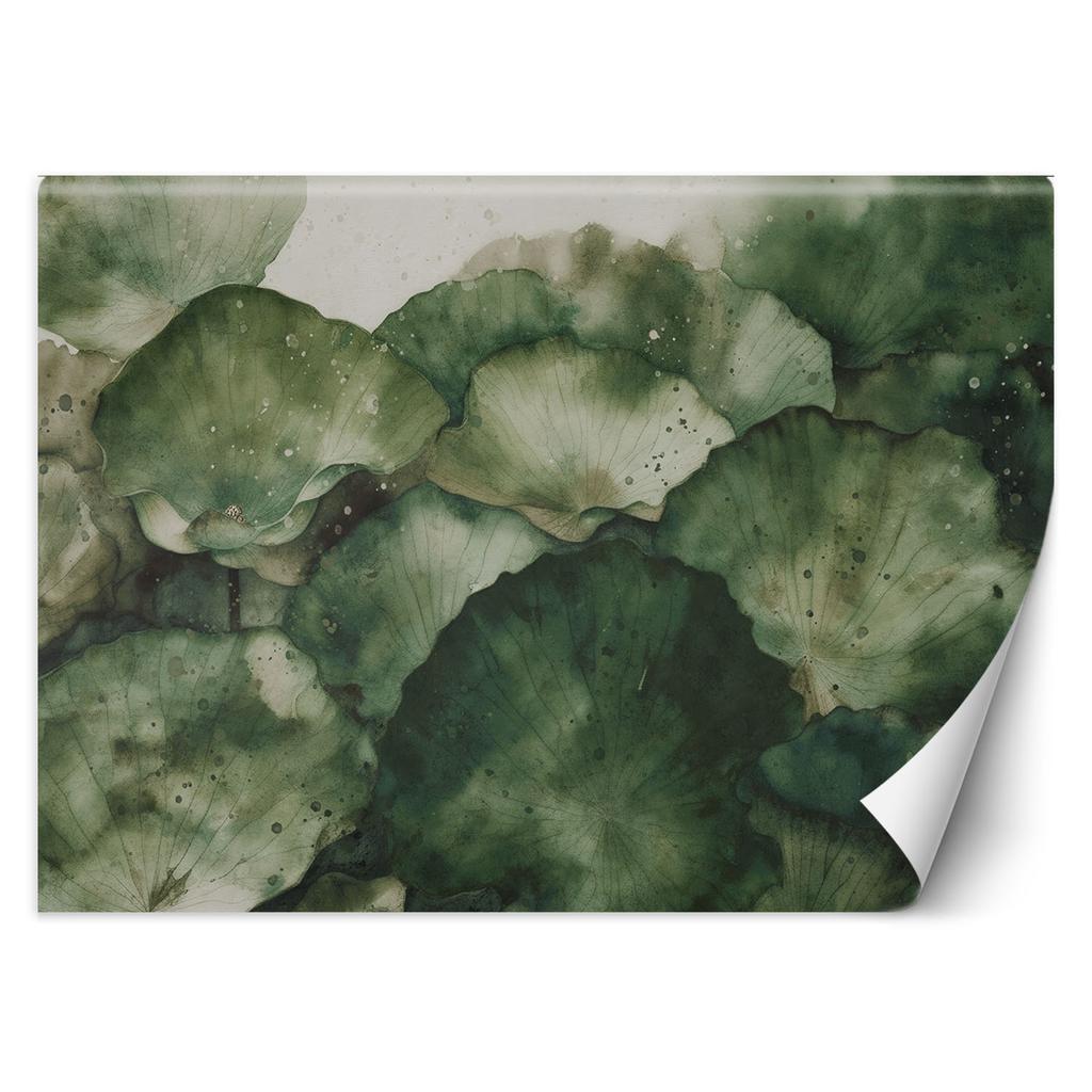 Wallpaper Green lotus leaves