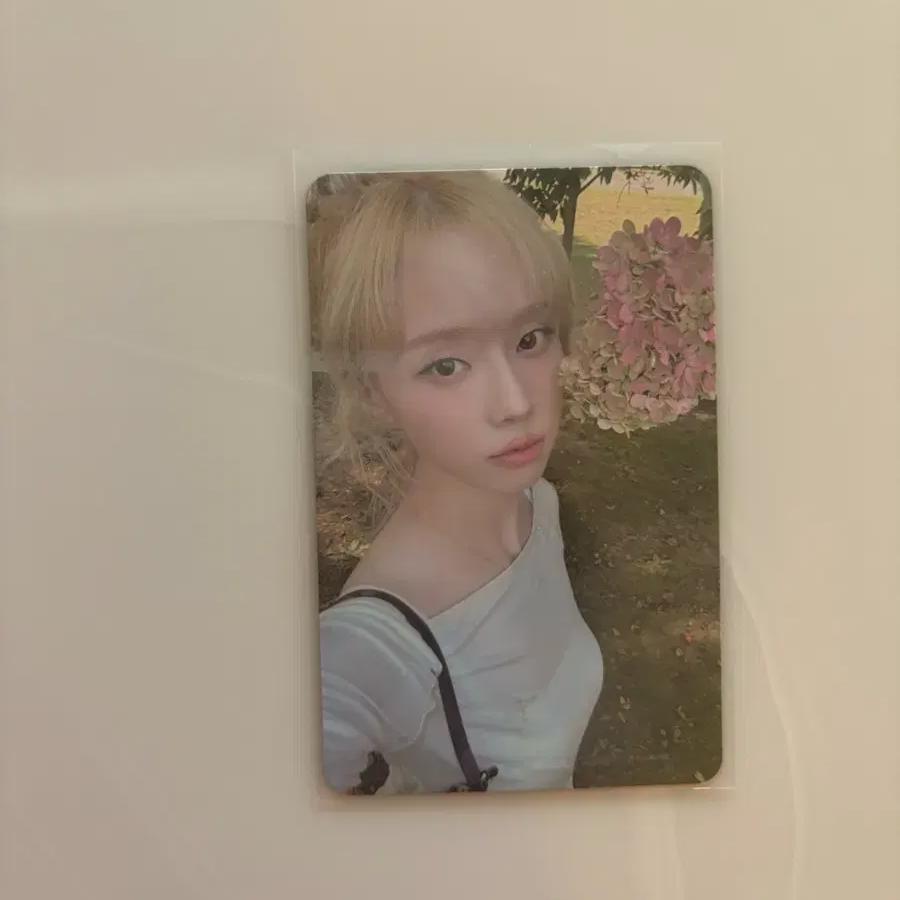 aespa Winter Whiplash Sm Store Photocard Sell