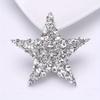 Fashion Star Luxury Crystasl Brooch Pin Badges Rhinestone Elegant Women Men Trendy Corsage Jewelry Bcukle Coat Pins