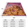 Cute Cats Butterfly Flannel Blanket Polyester Machine Washable Comfortable For Girls And Boys Sofa Bed House Decor Birthday Gift