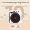 Vintage Vinyl Record Machine HIFI Sound Effects Super Standby  Radio Portable Large Battery Bluetooth Speaker New 112.4*105*57mm