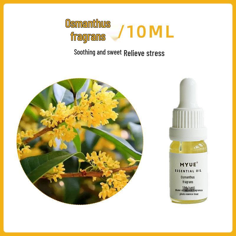 Yuhu Workshop Wasserlösliches Ätherisches Öl für DIY-Seife und Naturkosmetik, 10ml