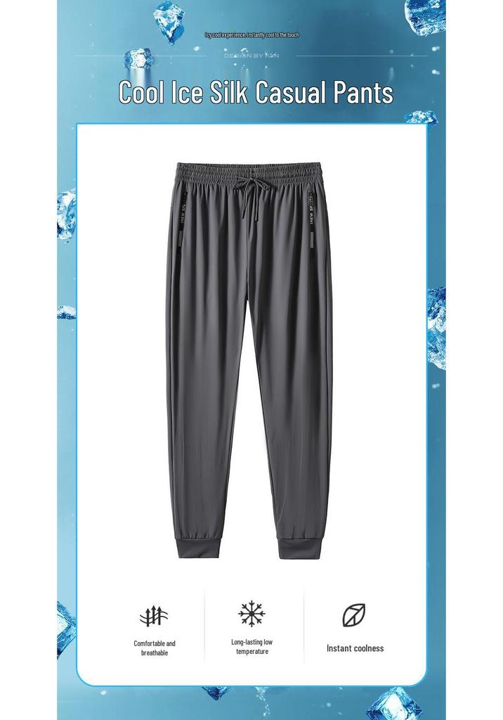 Plus Size Men's Summer Quick-Dry Ice Silk Pants: Lightweight, Loose, High Elastic, Finely Woven, Nylon Sports Pants (#067).