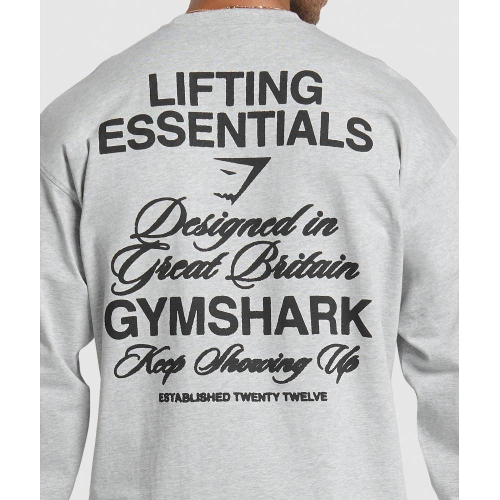 Gymshark EsT 2012 Long Sleeve T shirT lighT Grey Core Marl A2b8q Gbcn