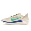Nike Air Winflo 9 Premium Coconut Milk Stadium Green Men Sneakers Cream Sanddrift Racer-Blue DV8997-100