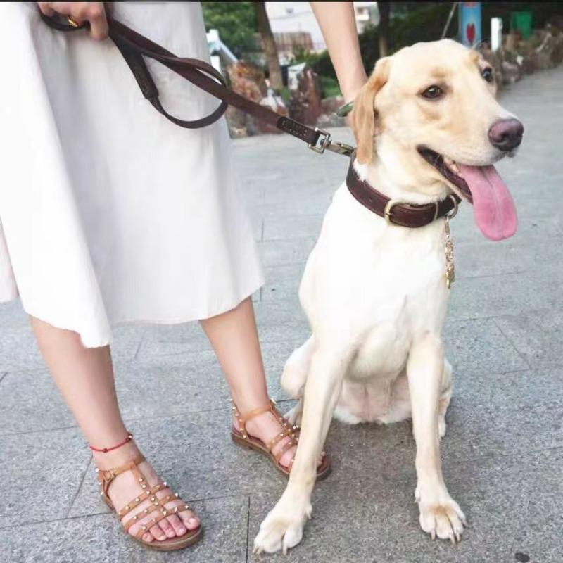 Dog leash cowhide non-slip and wear-resistant medium and large dogs lead the dog leash close in one step