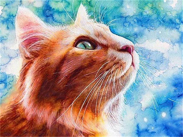 Pictură cu diamante 5d, nou sosiri, pisică drăguță, broderie cu diamante lucrată manual, mozaic de animale, cadou complet rotund/pătrat, decor acasă