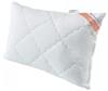 Lenjerie de pat – Perne