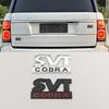 Emblema Decalcomania Logo SVT COBRA in Metallo 3D Griglia Anteriore Bagagliaio Parafango Badge Adesivo Accessori Auto