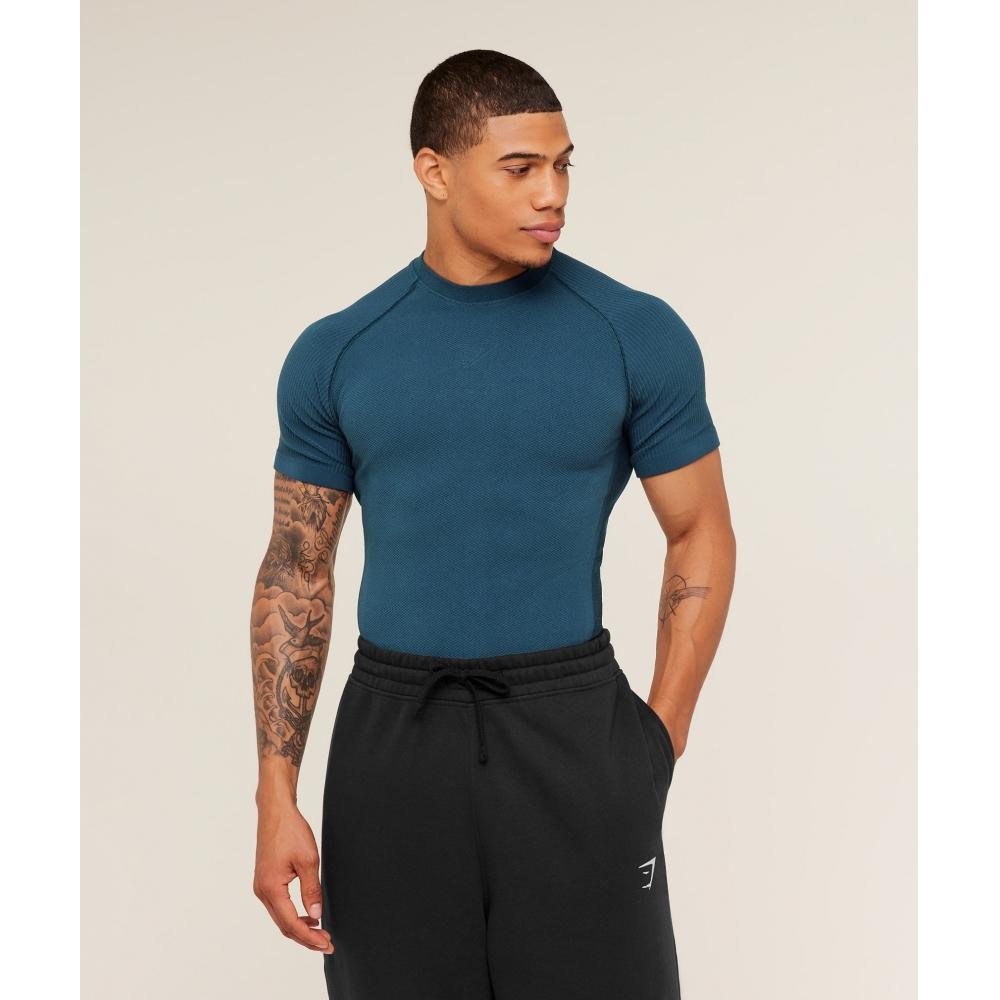 Gymshark Physique T shirT Gs sTealTh Blue Gs Deep peTrol Blue A4c6h Ud7p