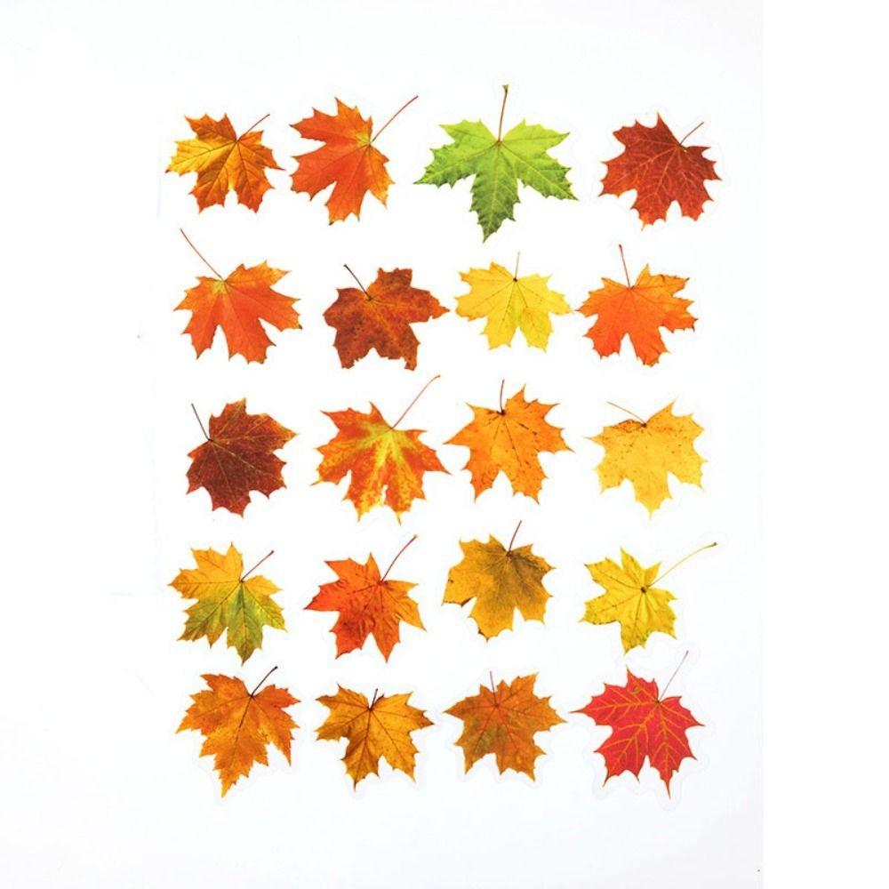 40PCS Fallen Leaves Maple Leaves Leaf Stickers Nature PET Scrapbook Stickers INS Style Waterproof Diary Stickers Album Journal