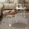 Folding Coffee Table Round Side Tables Minimalist Modern Table Multifunctional Portable Simple Living Room Small Sofa Tables