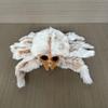 Cartoon Big Cute Eyed Spider Plush Toy Doll For Halloween Home Decoration