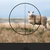4x32 Hunting Optical Hare Short Air Rifle Scope Tactical Sight Sniper Shooting Airsoft Guns Tactical Riflescope