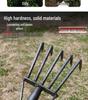 Five-Tooth All-Steel Rake for Beach, Clam Digging, and Gathering Seafood