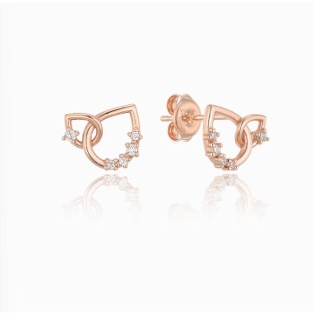 Silver Dazzling Duet Drop Earrings