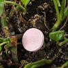 Gardening for Plants All-purpose Fertilizer Organic Fertilizer Slow-Release Tablet Ease Plant Food