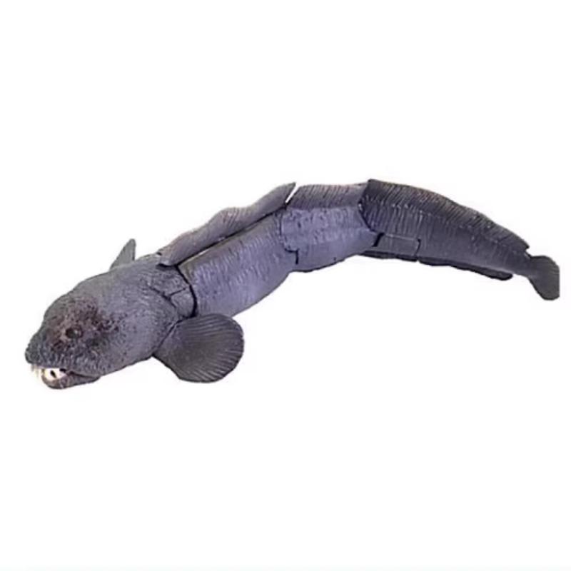 Japanese Ocean Monsters Gashapon Toys Macrocheira Kaempferi Wolf Fish Joints Movable Simulation Figure Model Ornaments Toys