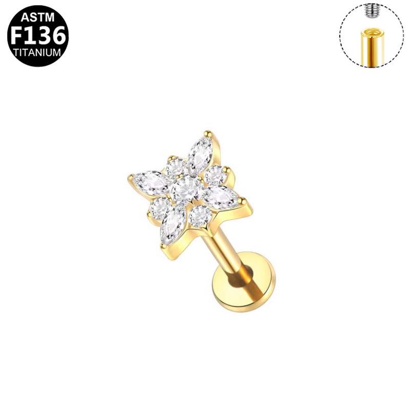 G23 Titanium Legering Mode Piercing Sieraden: Oorbel met Interne Schroefdraad Paardenoog Zirkonia