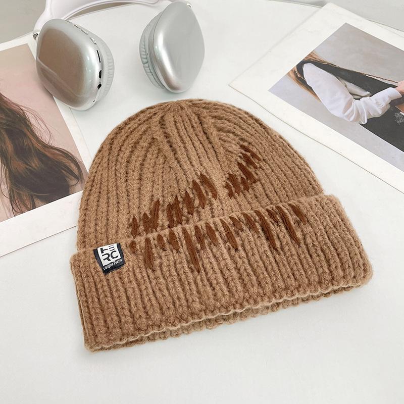 Korean Style All match Knitted Hat Warm Ear Protection Pullover Hat for Women Autumn and Winter Personalized Cold Hat Thickened Plush Hat Small Face