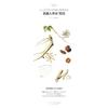 BOJ Revive Serum Ginseng + Snail Mucin Beauty Joseon 30ml