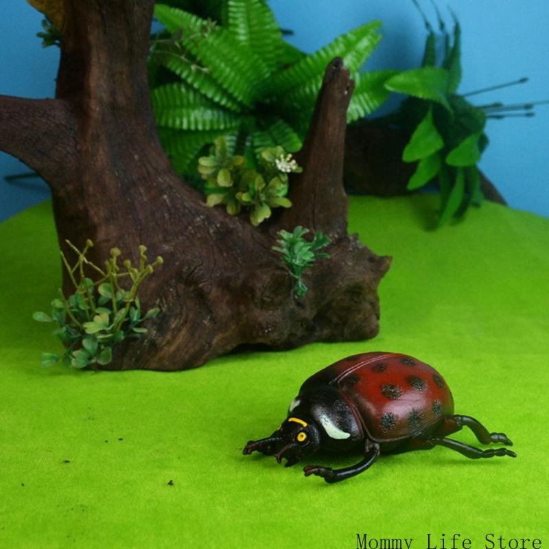 Simulation Insect Model Figure Children Science Fair Project Interaction Toy 3Pc