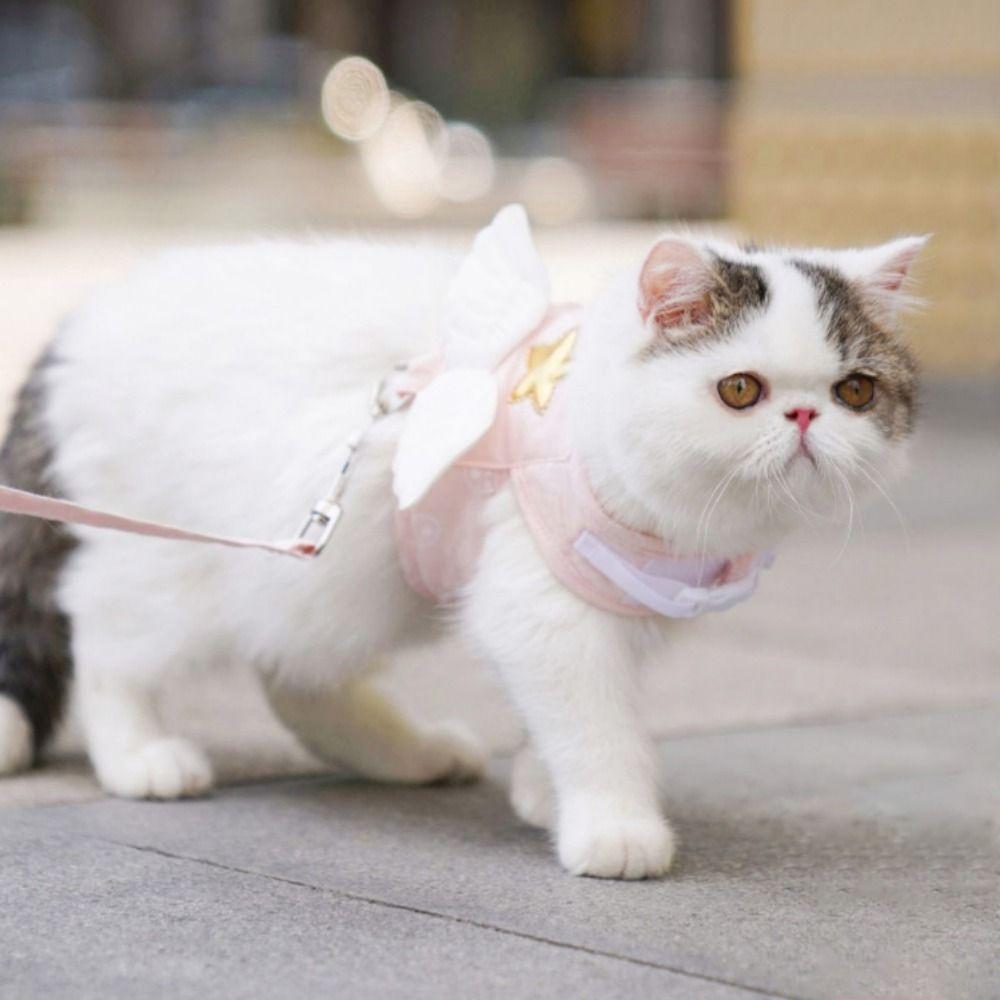 Breakaway with Wings Escape Proof for Walking Cat Collar Cat Vest Cat Harness Leash Dog Necklace