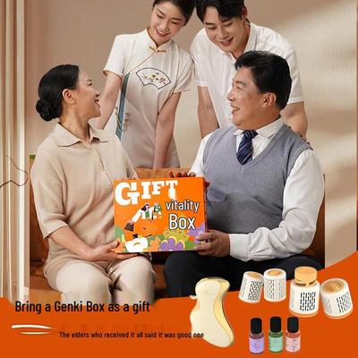 HEZHENG Energy Box Electric Scraping & Moxibustion Gift Set CN Plug (adapter Included)