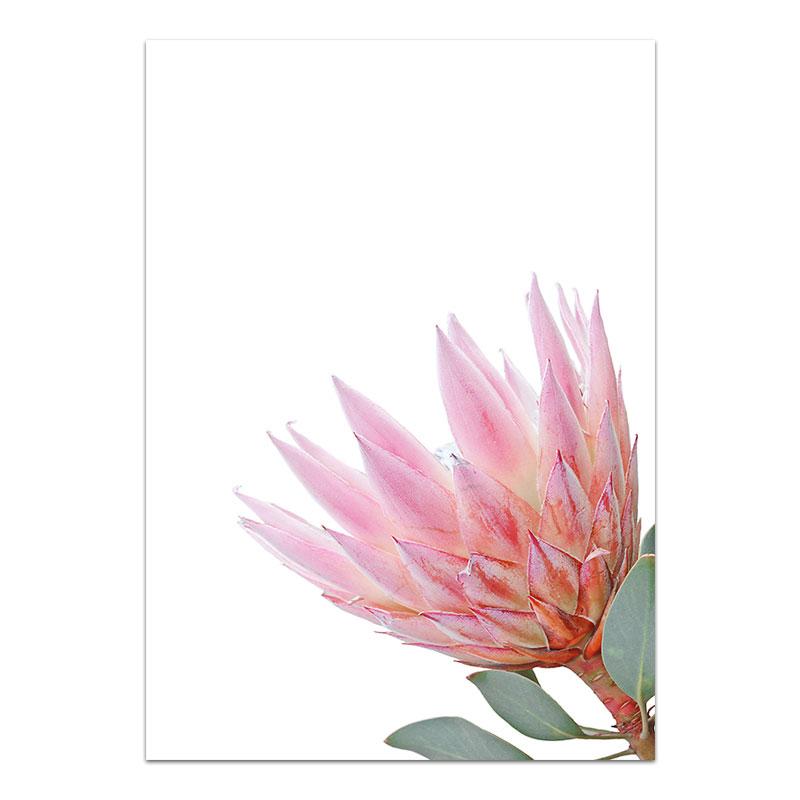 Rosa Blume Leinwand Malerei Nordic Tropische Pflanze Poster und Druck Sukkulenten Kaktus Wand Bild für Wohnzimmer Wohnkultur