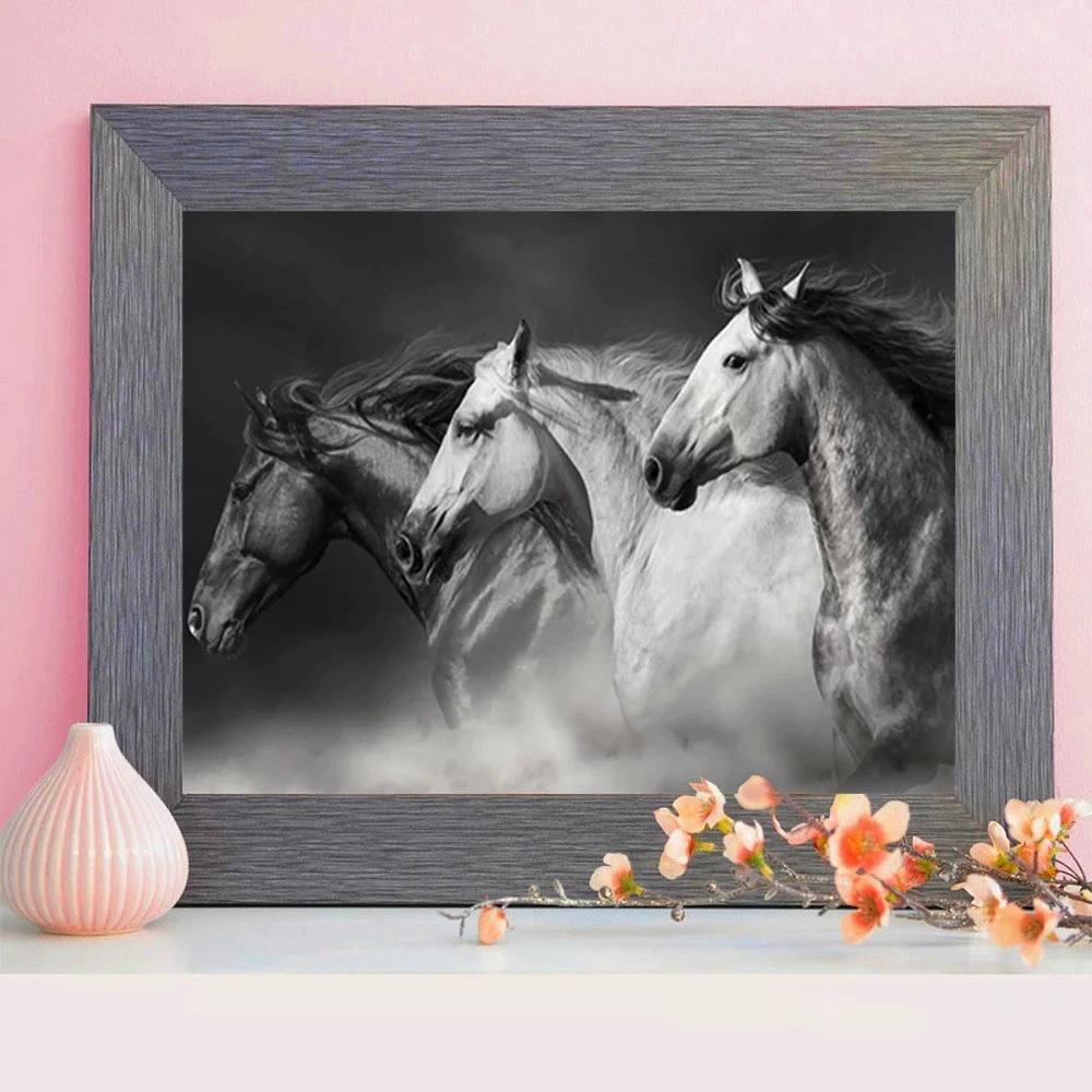 Seturi de pictură artistică cu diamant Imagini cu animale din strasuri Broderie cu diamante cu mozaic de cai